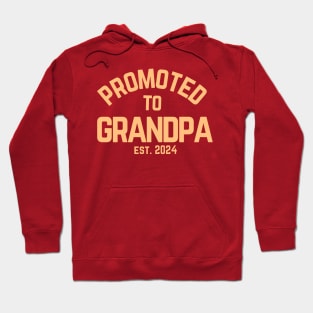 Promoted To Grandpa Est 2024 Funny New Grandpa Fathers Day Gift Hoodie